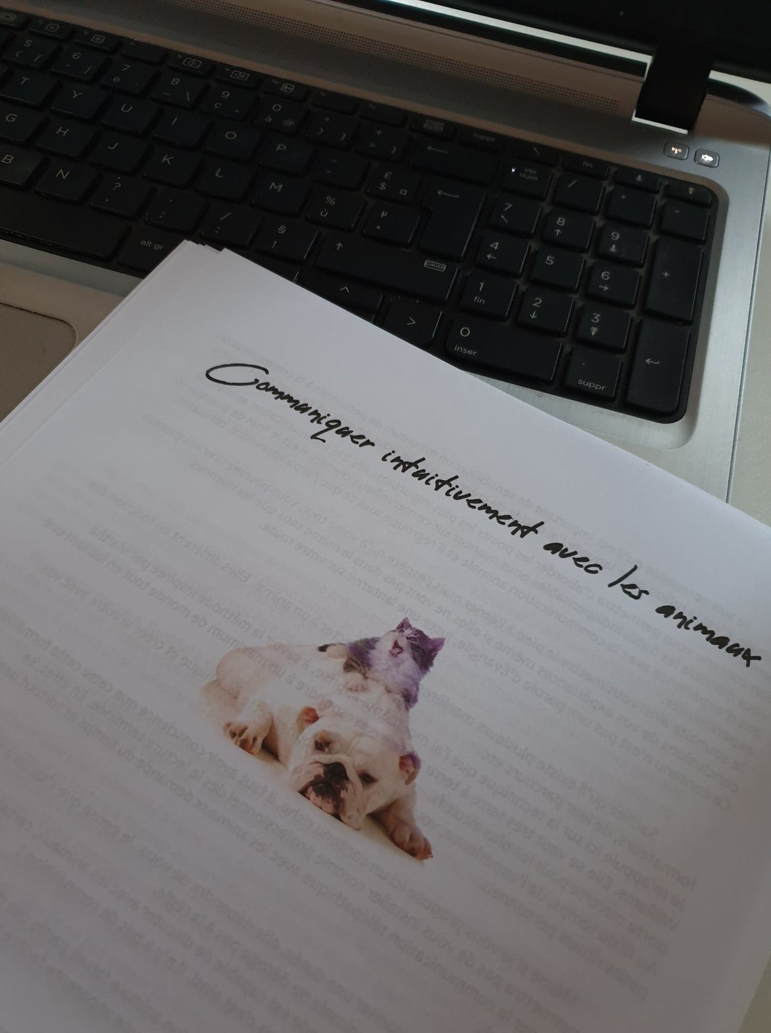 formation communication animale