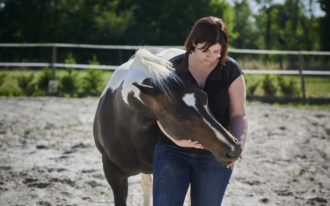 Soins énergétiques cheval