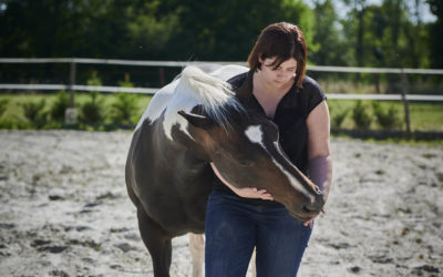 Quand le cheval va mal