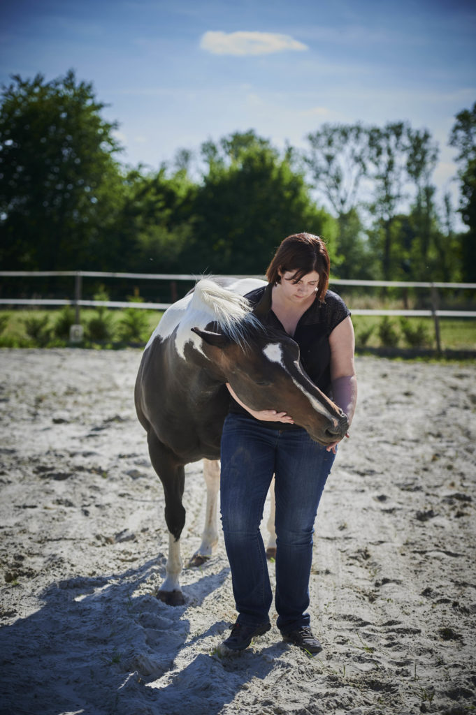 Soins énergétiques cheval